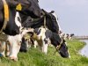 Groningen blaast debat over dreigende onteigening landbouwgrond af