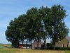 Voeding van gewas uit bodem onderschatte factor
