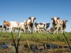 ‘Beleid moet ook gewoon werken’
