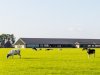 Wat bepaalt de haalbaarheid van een bedrijfsverplaatsing?