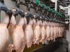 Duitse deelstaat investeert fors in regionale slachtcapaciteit