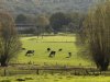 ‘Jonge boeren moeten reële keuze krijgen’