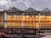 Zorg glastuinbouw over energiebeleid en verhoging btw