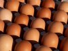 Weekprijzen eieren: bijna alle klassen plussen, bruine duurder dan witte