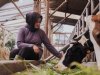 FrieslandCampina versterkt positie in Azië via deal met drankenfabrikant Ultrajaya