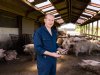‘Varkens houden kan ook in de toekomst rendement opleveren’
