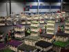 Rechter schrapt boete van 61.000 euro voor Drentse potplantenteler