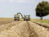 PotatoNL haalt kaasschaaf langs aardappelnoteringen