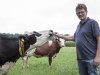 Minder ammoniakuitstoot met vier maatregelen
