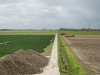 Bietencampagne start met laag suikergehalte