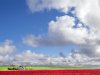 Mest kleiner en regenwater ondergronds: Waddenfonds investeert in innovaties