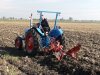 POAH! Fordson Dexta
