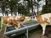 Biologische boeren willen ruimte voor eigen aanpak