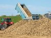 België start met redelijke suikeropbrengsten