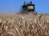 Russische tarwe-export op laagste niveau in vijf jaar