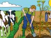 Succes agroforestry en voedselbos vraagt vakwerk en geduld
