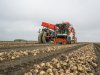 Uienexporteurs raken fijne maten goed kwijt op wereldmarkt