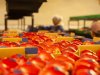 Steeds meer handel in groenten en fruit verschuift naar vaste partners
