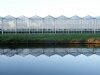 Glastuinbouw Nederland distantieert zich van tuinders die blijven lozen