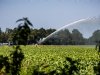 Waterschappen bezorgd om politieke keuzes over beschikbaarheid zoet water