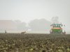 Hogere aardappelopbrengst en tegenvaller voor inzaai wintergranen