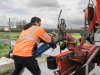 Mestexport stijgt met 12 procent naar ruim 3 miljoen ton