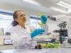 Biotech biedt landbouw miljardenkansen
