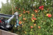 Munckhof leert robotarm appels plukken