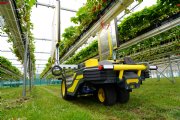 Robots zetten UV-C-licht in tegen schimmelziekte