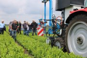 Boomkwekers bekijken de nieuwste slimme wieders