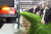 Melkveehouder Klaas Visscher overweegt aanschaf Lely Exos