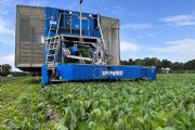 Gps-gestuurde machine oogst spinazie voor Albert Heijn op Brabantse zandgrond