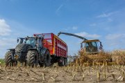 Eerst mais van 2025 gehakseld: 'Hier leef je het hele jaar naar toe'