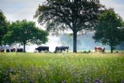 Boeren en tuinders zelf aan zet: nieuwe experimenteerlocaties voor toekomstgerichte landbouw