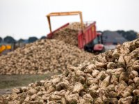 Meststoffen Nederland: \'Een boer kan niet zonder kunstmest\'