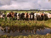 Beloning voor biodivers boeren in Brabant