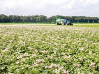 Bayer start koolstofsamenwerking met boeren