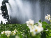Nieuw spuitsysteem voor schoner water in Noord-Brabant