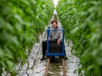 Amerikaanse documentaire over transitie Nederlandse boer