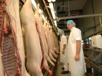 EU-export varkensvlees stijgt naar recordniveau