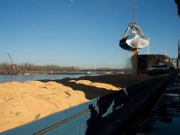Van Dam: weidegang in stelsel fosfaatrechten