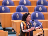 Stoppend CDA-gedeputeerde: Den Haag neemt regio onvoldoende serieus