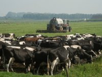 Boeren Westerkwartier willen geen moeras