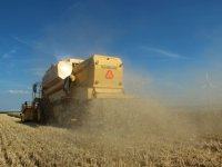 Landbouwexport Oekraïne via Roemenië komt op gang