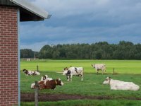 Double W Holsteins wordt CRV-testbedrijf
