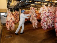 FAO: voedselprijzen stijgen 2,3 procent