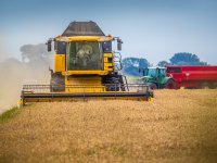 Steun vlas uit budget weersverzekering