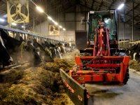 OM eist tonnen voor mestfraude pluimveehouders