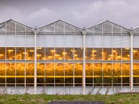 Vier finalisten voor Tuinbouw Ondernemersprijs bekendgemaakt