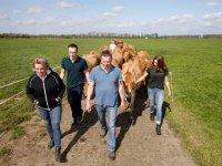Provincie wil naar 75 procent stikstofreductie Zuidoost-Friesland